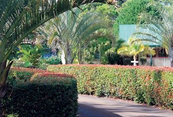 Peppertree Cottage - Geraldton Accommodation 21