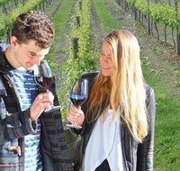 Valley Farm Vineyard Cottages - Geraldton Accommodation