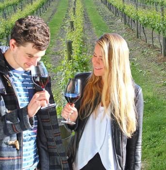 Valley Farm Vineyard Cottages - Geraldton Accommodation 0