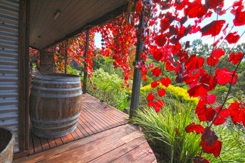 Valley Farm Vineyard Cottages - Geraldton Accommodation 5