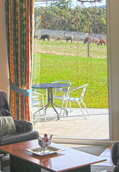 Valley Farm Vineyard Cottages - Geraldton Accommodation 9