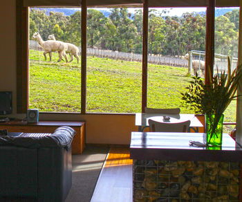 Valley Farm Vineyard Cottages - Geraldton Accommodation 17