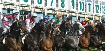 Hawkesbury Race Club Motel - Geraldton Accommodation 13