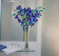 Grand Hotel Wyong - Geraldton Accommodation