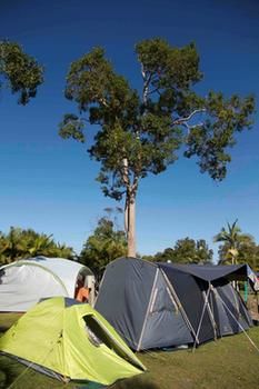 BIG4 Solitary Islands Resort - Caravan Park - Geraldton Accommodation 26