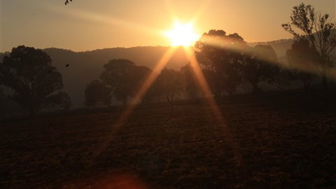 Gentle Annie Caravan And Camping Reserve - Geraldton Accommodation 1