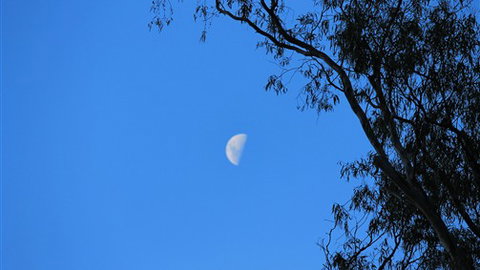 Gentle Annie Caravan And Camping Reserve - Geraldton Accommodation 4