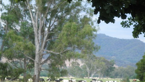 Gentle Annie Caravan And Camping Reserve - Geraldton Accommodation 3