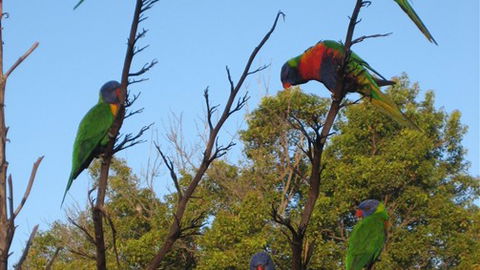 Captains Lodge International - Geraldton Accommodation 2