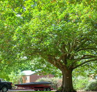 Lakes and Craters Holiday Park - Geraldton Accommodation