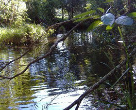 Mary Anns Cottage - Geraldton Accommodation 1