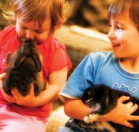 Macka's Farm - Geraldton Accommodation