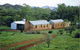 Moolooloo Station - thumb 2