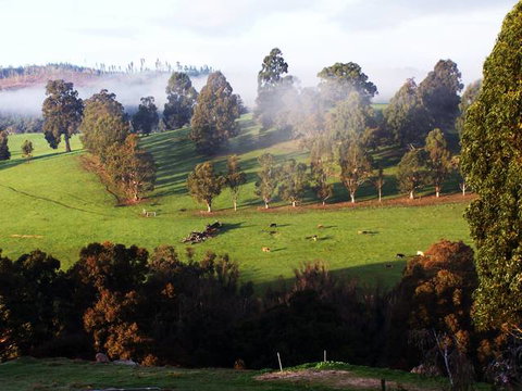 Balingup Vista Chalets - Geraldton Accommodation 4