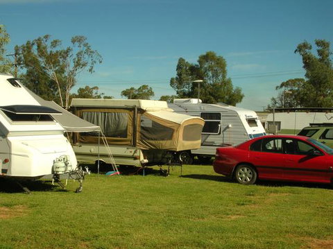 Crocodile Caravan  & Camping Park - Geraldton Accommodation 0