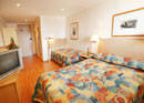 Haven Glebe, Sydney - Geraldton Accommodation 3