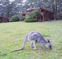 Jenolan Caves Cottages - Geraldton Accommodation