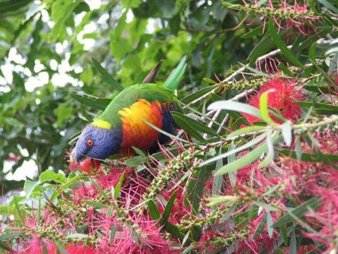 Lakesea Park - Geraldton Accommodation 1