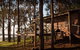 Balingup Heights Hilltop Forest Cottages - thumb 6