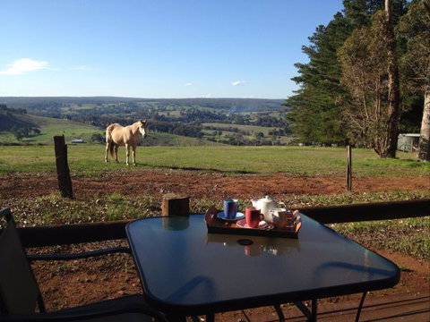 Balingup Heights Hilltop Forest Cottages - Geraldton Accommodation 7