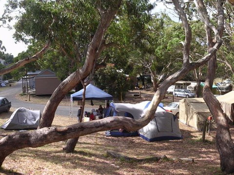 Bimbi Park Camping Under Koalas - Geraldton Accommodation 3