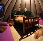 Aranyani Bison Adventure Tourist Park - Geraldton Accommodation