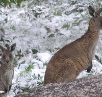 Barokee campground - Geraldton Accommodation