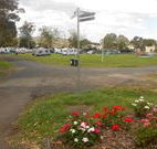 Berry Showground Camping - Geraldton Accommodation