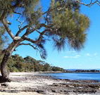 Currarong Beachside Holiday Park - Geraldton Accommodation