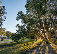 Delicate campground - Geraldton Accommodation