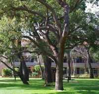 Trinity - Geraldton Accommodation