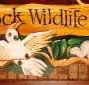 Wave Rock Hotel Motel - Geraldton Accommodation