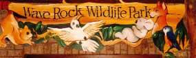 Wave Rock Hotel Motel - Geraldton Accommodation 0