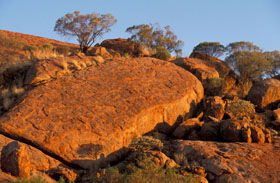 Wooleen Station - Geraldton Accommodation 1