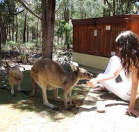 Yelverton Brook Eco Spa Retreat and Conservation Sanctuary - Geraldton Accommodation