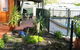 Molliejay Bed And Breakfast - thumb 0