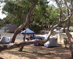 Bimbi Park Camping Under Koalas - Geraldton Accommodation 1
