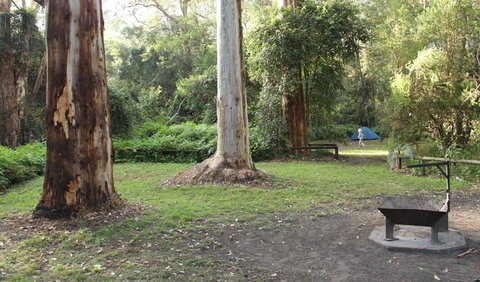 Mill Creek Campground - Geraldton Accommodation 2