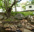 Mt Warning Rainforest Park - Geraldton Accommodation