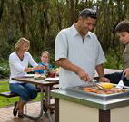 Port Stephens Treescape - Geraldton Accommodation