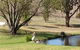 Sapphire City Caravan Park - thumb 4