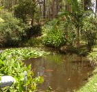 Tallowood Ridge B and B - Geraldton Accommodation