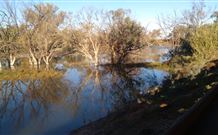 Warrawong On The Darling - Geraldton Accommodation 0