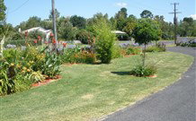 Glen Innes Motel - Glen Innes - Geraldton Accommodation 1