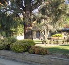 Hamilton Hume Motor Inn - Yass - Geraldton Accommodation
