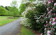 Laurel Hill Forest Lodge - Tumbarumba - Geraldton Accommodation 1