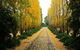 Melview Greens Apartments - Orange - thumb 5