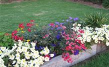 Narromine Tourist Park And Motel - Narromine - Geraldton Accommodation 1