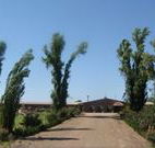 Newell Motor Inn - Narrandera - Geraldton Accommodation