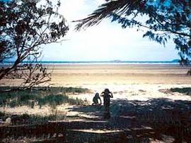 Travellers Rest Caravan & Camping Park - Geraldton Accommodation 0